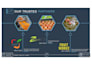 do create professional aviation logo and all graphic work